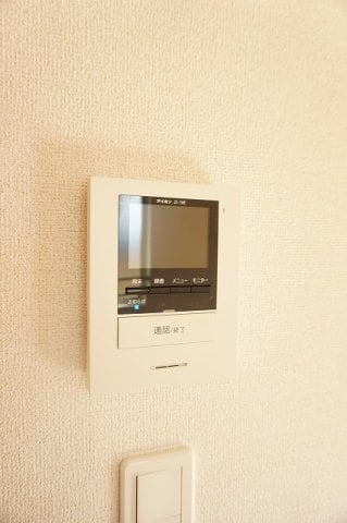  マウントビューオリーブ