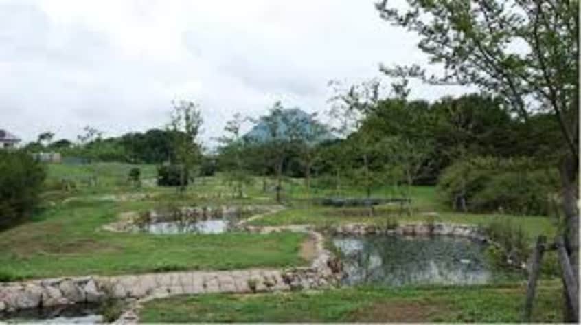 土器川生物公園(公園)まで1678m フォレストパークＢ