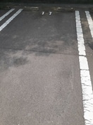 駐車場です ヴィオラハウスＨａＭａ　Ⅱ