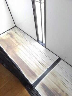  秋桜ＤＯＩ　Ｂ