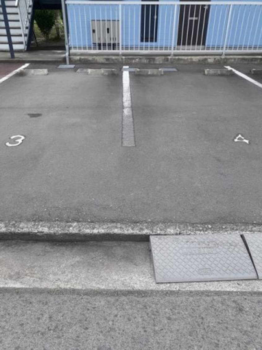  エルディムチェリー