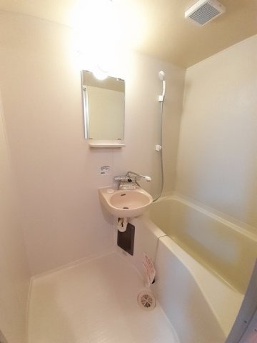  エルディムチェリー