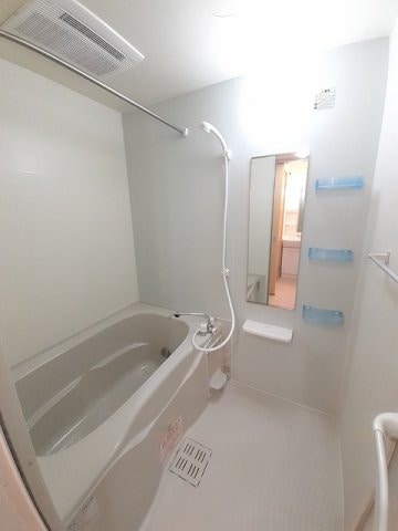  秋桜ｎｅｏ　Ａ