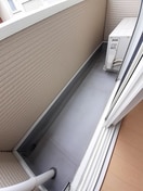  秋桜ｎｅｏ　Ａ