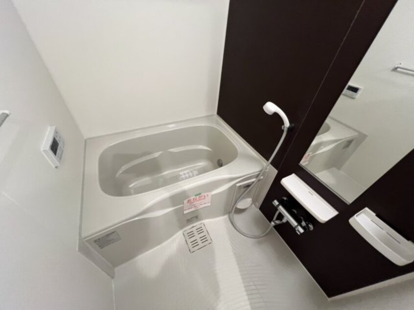  フォルシュ・ヴェーラⅡＤ