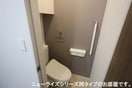 落ち着いた色調のトイレです 太田下町アパート