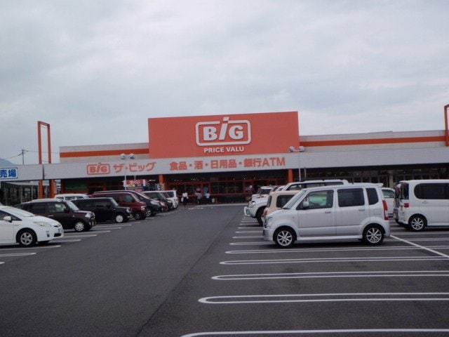 ザ・ビッグ多度津店まで1400m レインボー・ハイツ