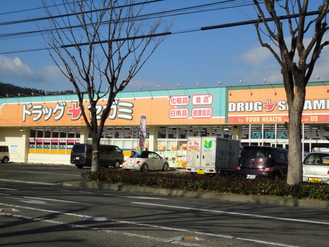 セガミ（ドラッグストア）まで400ｍ キャトルレーヴ