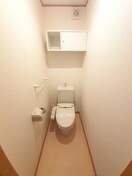  グレイスフルＣ