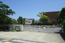 白鳥小学校まで2200m コスタビアンカ　Ａ