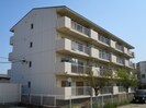 鳴瀬マンションの外観