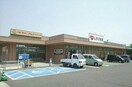 レデイ薬局十川店さんまで1530m クレストールＫⅡ