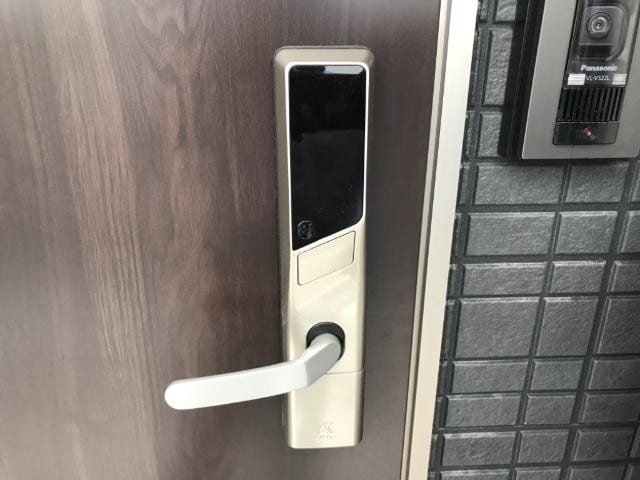 EDロック キャロット　C