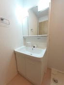 広い洗面スペース ラ・エムザ