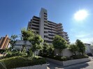 サーパス木太公園の外観