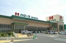 ハローズ高松春日店さんまで590m ナリッシュＬｅｅ　Ⅱ