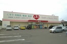 レディ薬局春日店さんまで930m ナリッシュＬｅｅ　Ⅱ