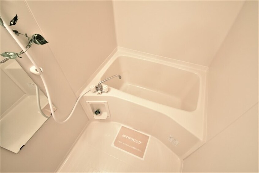  サウスウイングウエダ