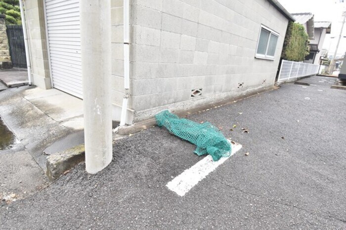  サウスウイングウエダ