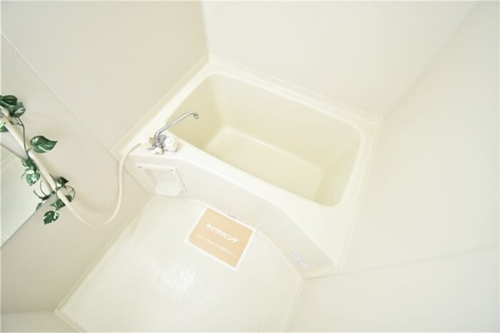  サウスウイングウエダ