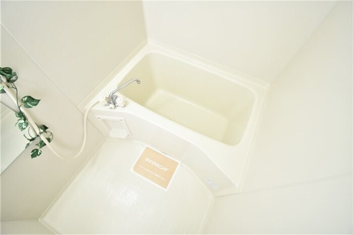  サウスウイングウエダ