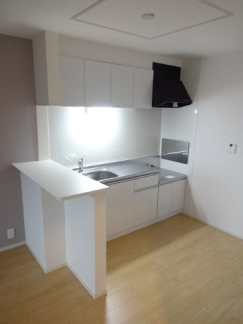  シュウプリングＡ