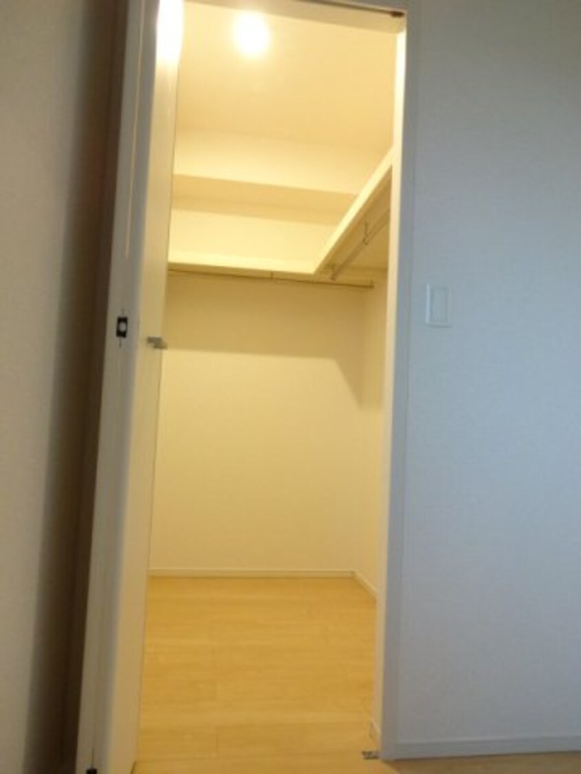  シュウプリングＡ