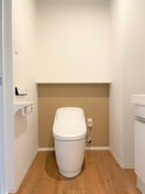  コリドールリブ