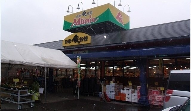 Mumie川島店さんまで950m サニーフォレスタＣ