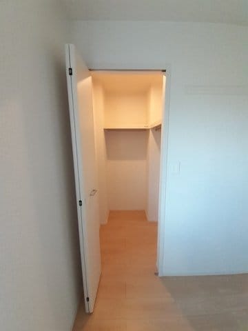  ラッシュ　プレミアⅡ