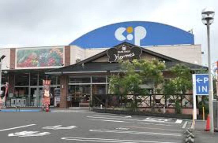 生活共同組合コープかがわ コープうたづ(スーパー)まで466m シャトレー西本Ⅱ