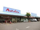 マルナカ 檀紙店(スーパー)まで2012m セジュールグランモア