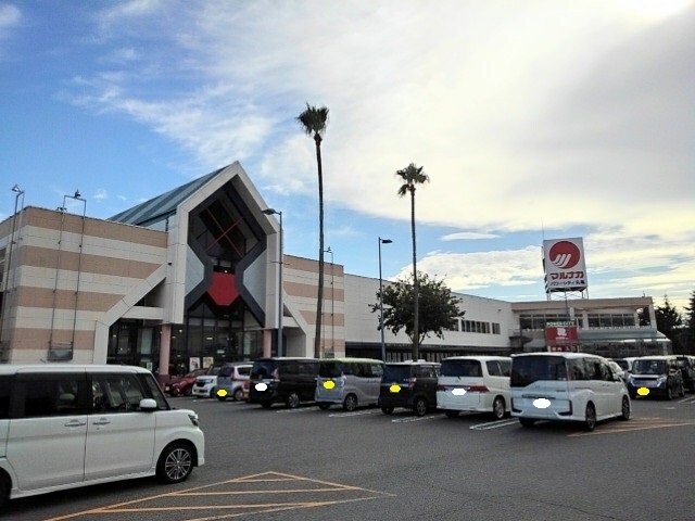 マルナカパワーシティ丸亀店まで1700m エール