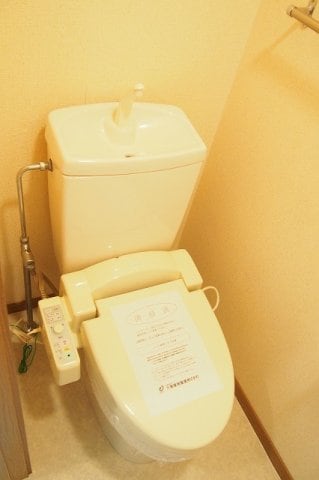  ヴァーナル・エース