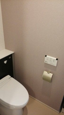  タートル・マウンテンⅡ