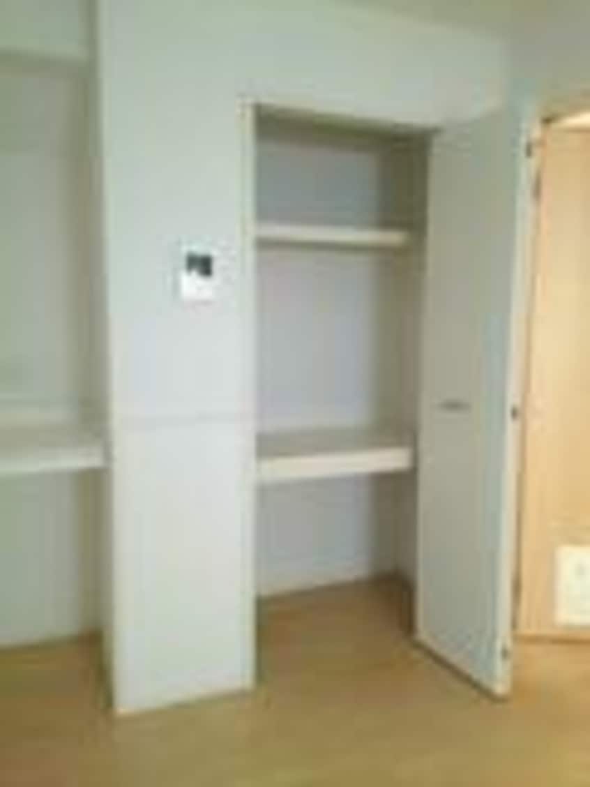 大きなものも収納できそうです ジェネシスIV