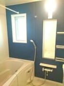 すっきりとしたシャワールームです ジェネシスIV