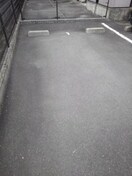  サンスタレ　Ｎ