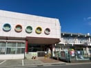 こぶし今里保育園(幼稚園/保育園)まで1065m サンフラワー今里