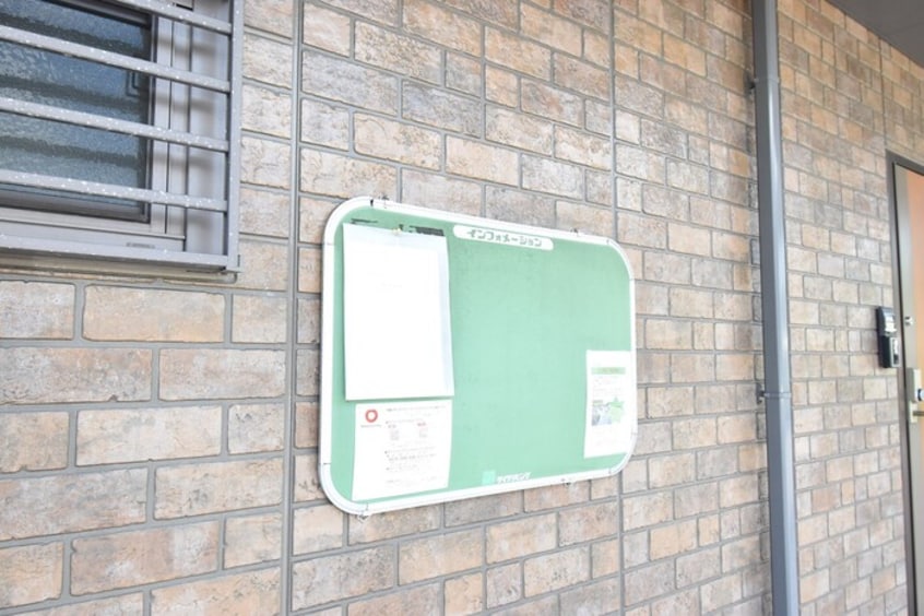  ＧＥＮＥＳＩＳ