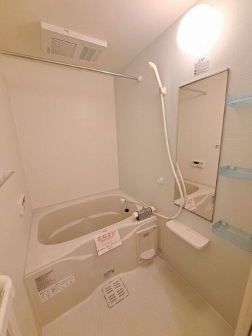  モア　ドリーム