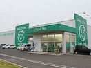 ザグザグ中央インター店(ドラッグストア)まで454m レオパレス木太南