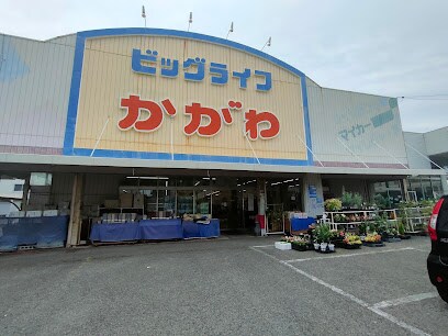 ホームセンタービッグライフかがわ(電気量販店/ホームセンター)まで855m エグゼクティブコート中新町