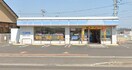 ローソン 高松春日町川南店(コンビニ)まで126m フォレスト D棟