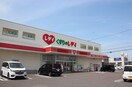 くすりのレデイ 春日店(ドラッグストア)まで471m フォレスト D棟
