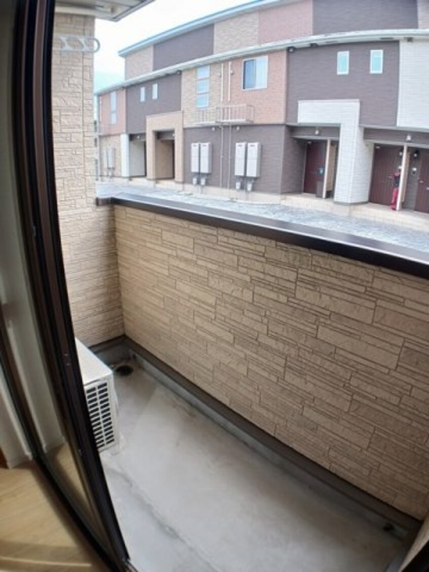  フレスクーラＣ