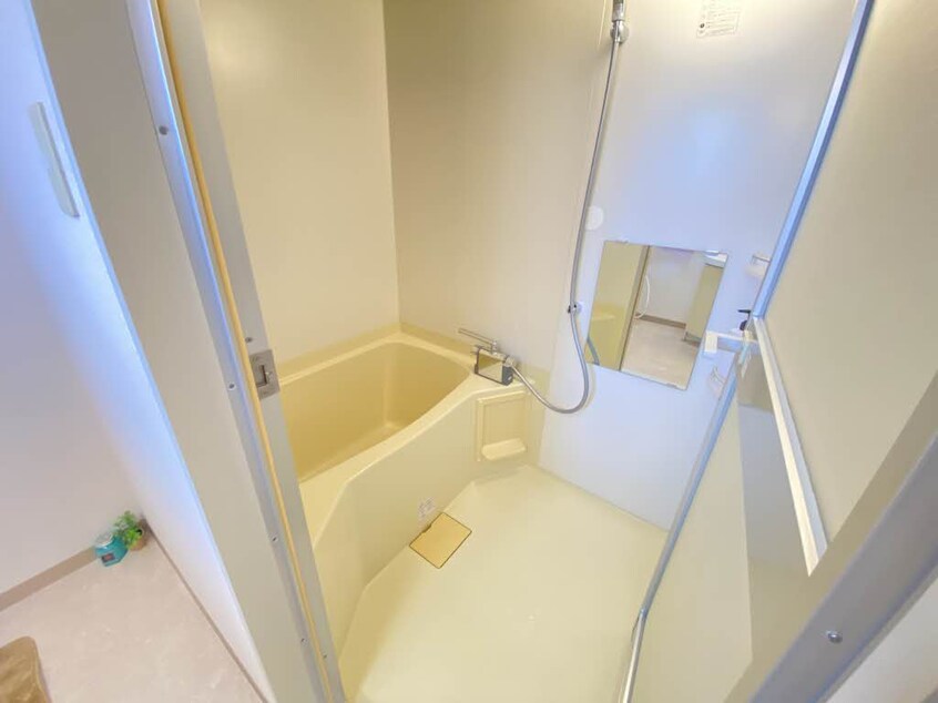  カーサ・ウィル