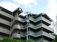 タートルハイツ