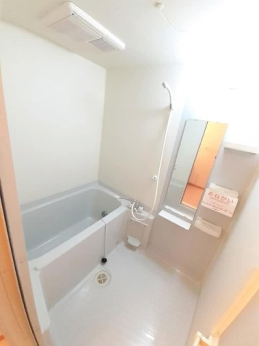  カルム・シェソワ