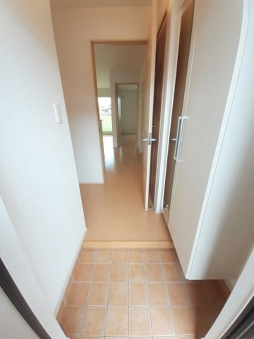  サンパラソルＤ